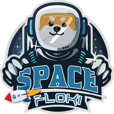 Welcome to Space Floki. The first Floki to reach out of our atmosphere! Don’t miss the cutest astronaut to ever adventure space