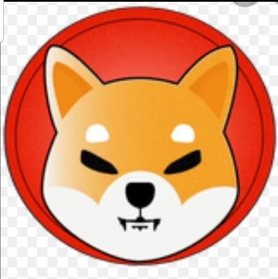 Shiba Inu coin Shares news