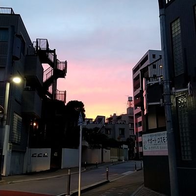 ❤️情感編年史家・整理愛情留下的證據，解構歲月裡的愛💙
默默寫文獻的前世德魯伊