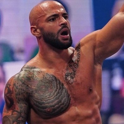 Once a young kid with a dream, he climbed up the mountain from the very bottom and now he is a world-renown superstar known as Ricochet. (Parody account)