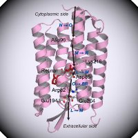 北大生物情報解析科学 (@lab_biolanalsci) 's Twitter Profile Photo 北大生物情報解析科学 (@lab_biolanalsci) 's Twitter Profile Photo