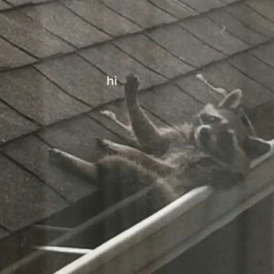 kaza__'s profile picture. 