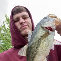 Matt (@matt68416598) 's Twitter Profile