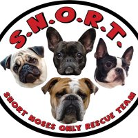 S.N.O.R.T. Rescue(@SNORTRescue) 's Twitter Profile Photo
