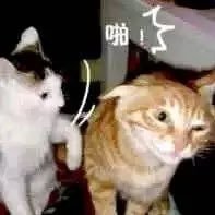 xu961108's profile picture. 