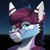 North 🔜 TFF, FWA, AC, iFC, MFF (@koboldnorthad) Twitter profile photo