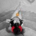 Swingercuriosos (@swingercurioso1) Twitter profile photo Swingercuriosos (@swingercurioso1) Twitter profile photo
