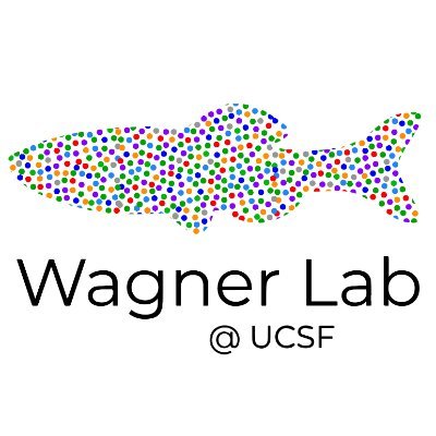 Assistant Prof @UCSF. Quantitative #devbio in #zebrafish, lineage, regulative embryogenesis, #stemcell #compbio #scRNAseq. Opinions my own.