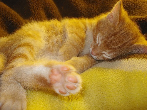 BOsya20's profile picture. Жизнь прекрасна! Всех люблю!