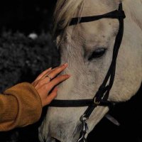 ﮼الترف (@i_taraf5) Twitter profile photo