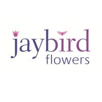 Unique flowers for every occasion.
Wedding, engagement, special occasion and funeral flowers. Servicing Hampshire, Dorset and the Isle of Wight