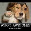 John Matthew Marzan - @marzan_john - Twitter