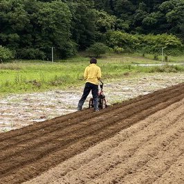 経歴:水産学(修士)→県立高校(理科)教諭→REPOC(REPOC_FARM責任者)/趣味:ラジコン(TT-02、グラスホッパー)、鉄道模型(Nゲージ)、愛車(フォレスター、NS-1)/プライベートの9割は四児の育児。今年はフィッシングカヤック買うぞ！無言フォロー大歓迎！無言フォローお許し下さい。宜しくお願いします！