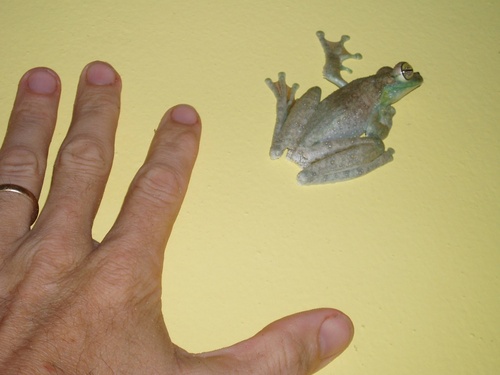 academic interested in uncertainty, machine learning, and the evolution of cooperation.