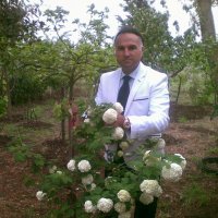 Murat GÜRAKAR (Oğuz Yıva Beyi)🇹🇷𐱅𐰼𐰇𐰰🐺🤘🥋 (@muratgurakar) Twitter profile photo