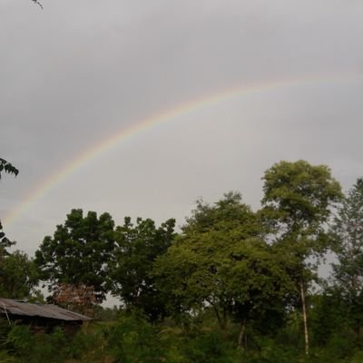 Pison69780348's profile picture. 