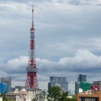 🌈子ども達の未来を守りたい都民🙋♀️ ワクチン・マスクは最初からずっと任意です‼︎ (@shinjitunomiiu) 's Twitter Profile