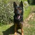 RPD Dixie (@RpdDixie) Twitter profile photo