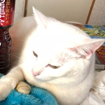 たぁむたぁむx7☆さんのプロフィール画像
