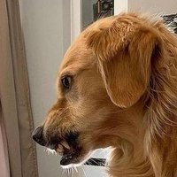 π§π· (@ofelipeeee) 's Twitter Profile