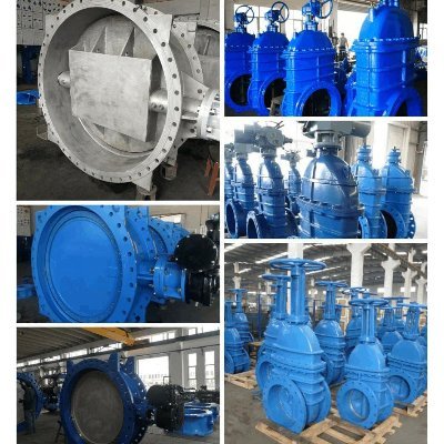 BECK90381575's profile picture. INDUSTRIAL VALVES EXPORTER