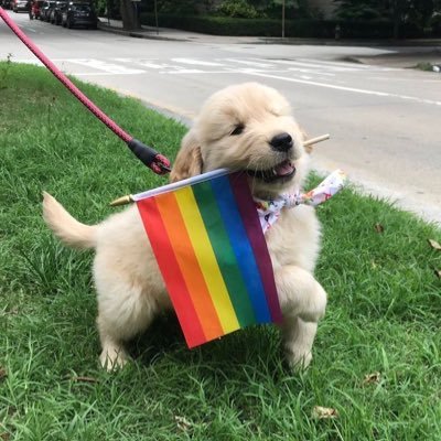 animalitos_en's profile picture. Seguinos para alegrar tus días con fotos de animalitos tiernos 🥰