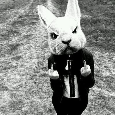 Null_dose's profile picture. 