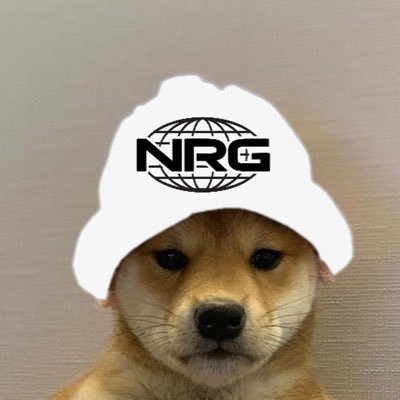 DogeNationRBX's profile picture. 