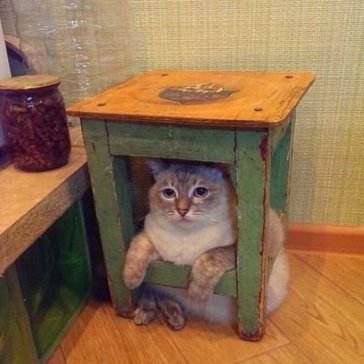 PanZzz223's profile picture. 🇺🇦🇵🇸