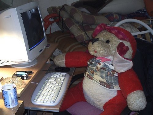 nnovovicc's profile picture. 