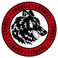 Cornell is the True Industry leader in steel erection, Tower Gantry Crane manufacturing, rentals, sales, parts and service.
