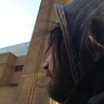bonejp's profile picture. Developer on the web, traveler in life, with a fear of commitment to countries.