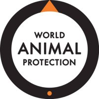 World Animal Protection UK (@movetheworlduk) 's Twitter Profile Photo World Animal Protection UK (@movetheworlduk) 's Twitter Profile Photo
