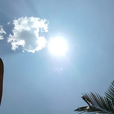 ShonVillaraza's profile picture. 