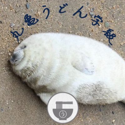 bTc4r4OE6RuBlS2's profile picture. 全録とTVer無かったら生きられない