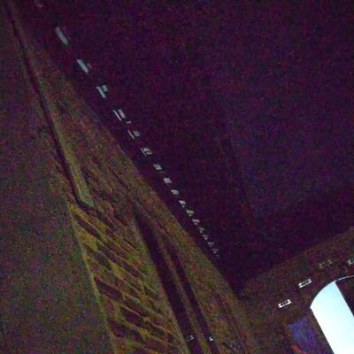 DDavidnaif's profile picture. 