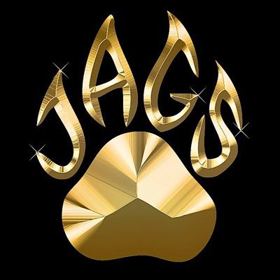 The official Twitter for Top Gun All-Stars - Orlando! 🖤💛🐆 Once A Family Always A Family! #OAFAAF ~ Follow us on Insta: topgunjags407