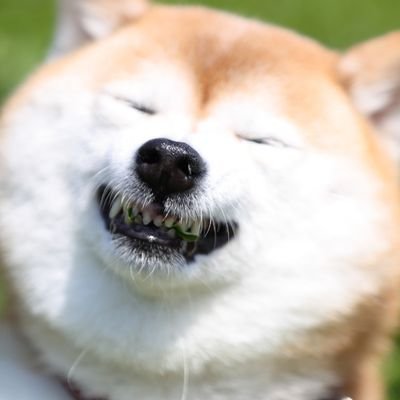 ミジンコさんのプロフィール画像