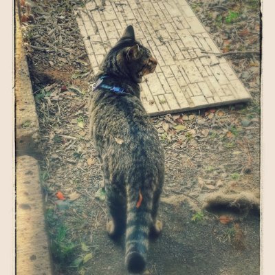 JZapjanice's profile picture. Data lover based in Tokyo