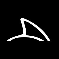 Shark Club UK (@sharkclubuk) 's Twitter Profile