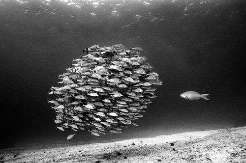 urizen26's profile picture. 