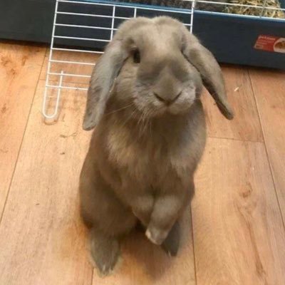 KANEKIILL's profile picture. ⠀⠀⠀⠀⠀⠀⠀ #25/07/2020💛 SLATER⠀⠀⠀⠀⠀⠀⠀ ⠀⠀⠀⠀⠀⠀⠀ ⠀⠀⠀⠀⠀⠀⠀ ⠀⠀⠀⠀⠀⠀⠀ ⠀⠀⠀⠀⠀⠀⠀