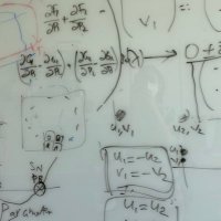 Koseska_Lab (@koseskal) 's Twitter Profile