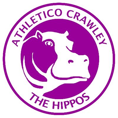 We are the Hippos! A team playing in the Sunday Sussex Football League. Check out our latest sponsors in the link below!