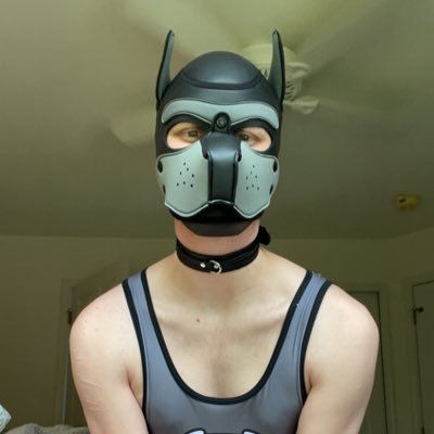 18+ only/NSFW. Just a 28yo pup with a pit fixation. nj/nyc area. board games, ttrpg, ffxiv. ask for my furry twitter