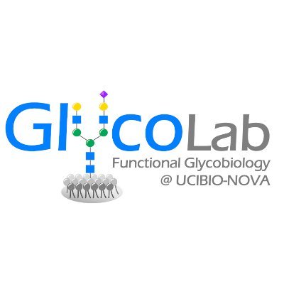 We are a research group belonging to the research unit UCIBIO. We aim to understand the glycan-protein interactions in the context of natural glycans.