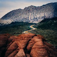 roaddogtravel (@roaddog_travel) 's Twitter Profile