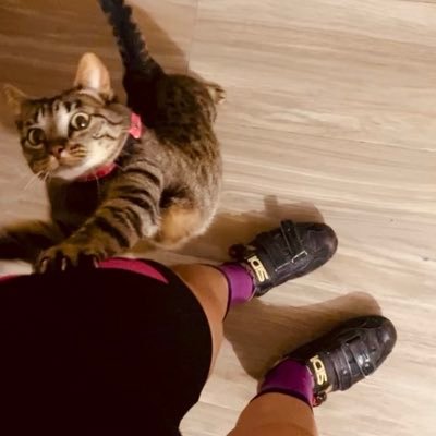 ClaudiaOrozcoMz's profile picture. 