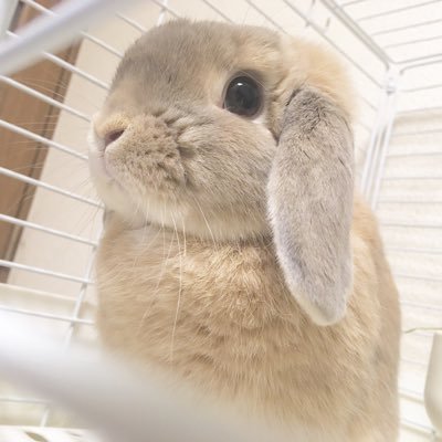 satou___00's profile picture. 