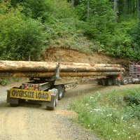 IUFRO Division 3 (@iufrodivision3) 's Twitter Profile